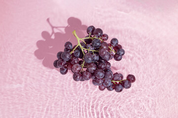 Black muscat grapes stand in the water on pastel pink-purple background. Natural, healthy,...