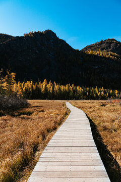 A road in the mountains with beautiful landscapes and views of rocks and peaks in Altai