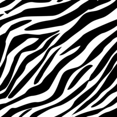 Zebra stripes, Zebra background, Zebra stripes texture background