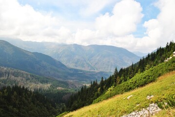 Fototapeta premium Beautiful mountain landscape. A trail leading through the Tatra National Park.