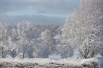 Winterlandschaft