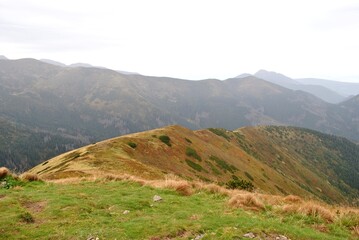 Beautiful mountain landscape. A trail leading through the Tatra National Park.