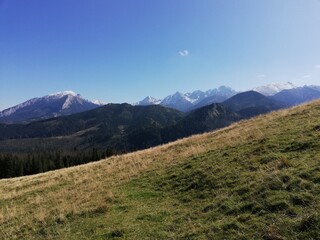 Beautiful mountain landscape. A trail leading through the Tatra National Park.