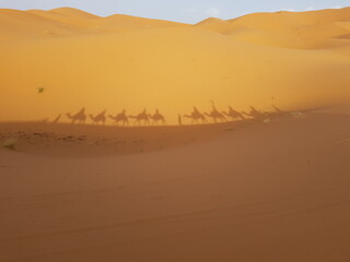 Fototapeta na wymiar Cień wycieczki na wielbłądach na Sacharze w Maroko