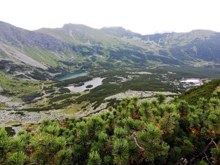 Beautiful mountain landscape. A trail leading through the Tatra National Park.