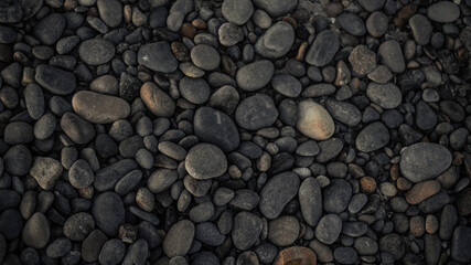beach rocks 