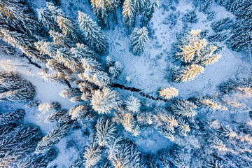 Snowy Winter Landscape. Drone View