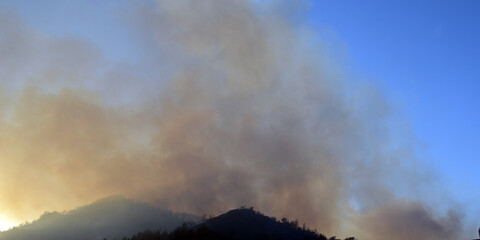 Wildfire in the forest near a resort town.Marmaris, Turkey. Summer 2021