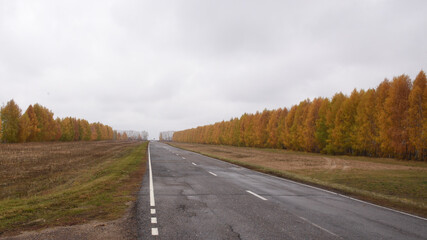 road in autumn