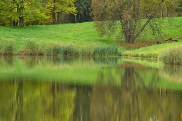 Fototapeta na wymiar The pond in Pavlovsk park, Saint Petersburg.