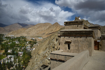 Fototapeta na wymiar Nature photography at Ladakh, India