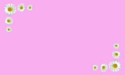 pink background with flowers on top and bottom corner