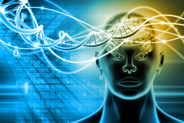 Human head with brain and DNA strands on scientific background. 3d illustration