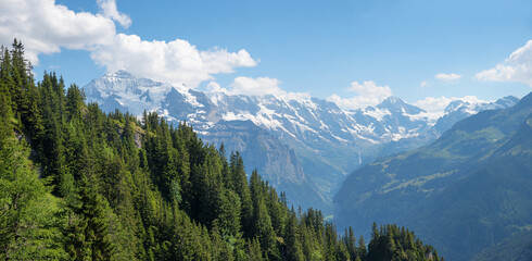 Fototapeta na wymiar mountain panorama Bernese Alps, view from Schynige Platte