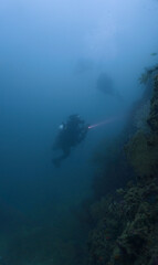 Scuba divers on the reef