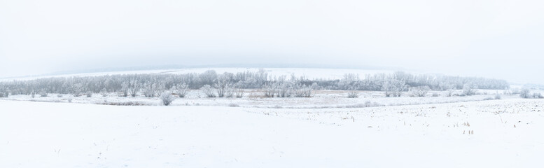 Winter beautiful landscape with trees covered with hoarfrost