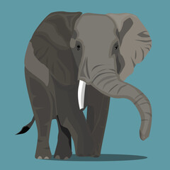 Elephant Vector Illustration
