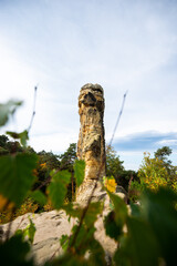 Klusfelsen Sandstein Formation Gebilde Säule im Harz Gebirge Deutschland