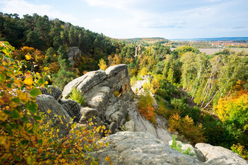 Fototapeta premium Klusfelsen Sandstein Formation Gebilde Säule im Harz Gebirge Deutschland