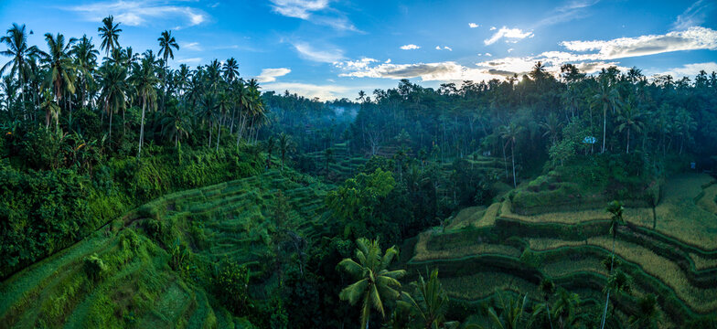 Bali - Jati Luwih Rice Terraces