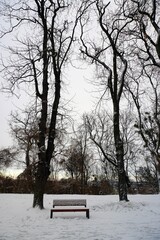 Winter in the city park. An empty bench, covered with trees. Snow. Silhouettes.