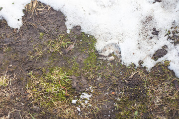 melting snow on the ground. grass is visible on the propaline