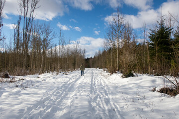 Winterlicher Weg im Wald mit Fu&szlig;g&auml;nger