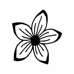 flower in doodle style