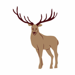 Deer with large antlers isolated on a white background. Vector illustration. A forest animal.