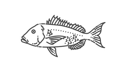 Common Dentex. Vector illustration. Marine fish