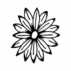flower in doodle style