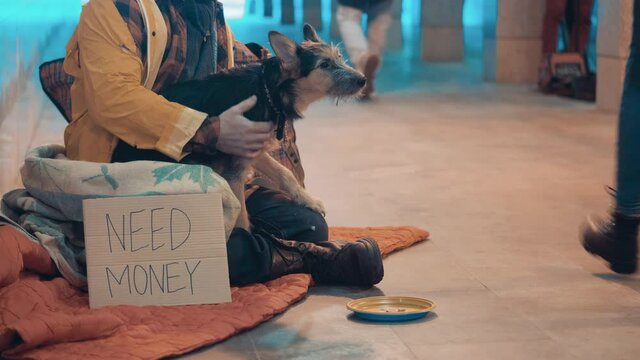 A beggar and his dog with a 'need money' sign next to them