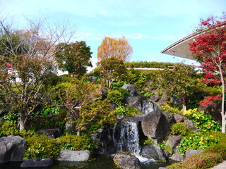 Obraz premium 池のある庭