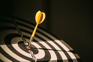 Bullseye target goal or dartboard has dart arrow throw hitting center shooting for financial business targeting planning to winner concept.