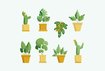 Set of Home Plants in Yellow Pots, Flat Illustration, Vector. Indoor flowers, leaves, cacti. Isolated background.