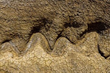 Cracks in the soil because of heat and global warming and climate change