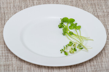 White plate with microgreen sprouts on the dining table. Green sprouts of radish and mustard, close-up with selective focus, copy space. Healthy food concept
