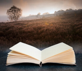 Foggy misty Autumn forest landscape at dawn coming out of pages on book in composite image