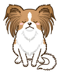 落ち込むパピヨン（レッドホワイト）