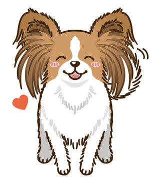 パピヨン」の写真素材 | 73,066件の無料イラスト画像 | Adobe Stock