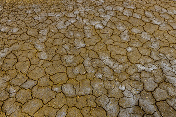 Cracks in the soil because of heat and global warming and climate change