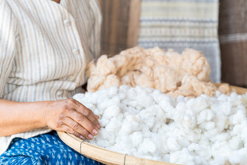 An old woman is selecting cotton to be used in weaving cotton clothes. Local Master are the original Cotton Weaving. Loei, Thailand.