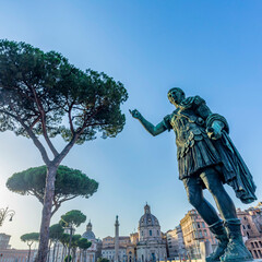 Roman forum. Imperial forum of Emperor Augustus with his statue and pine tree