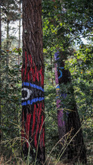 Obraz premium Oma forest is a work of art created by Agustin Ibarrola, a Basque sculptor and painter.