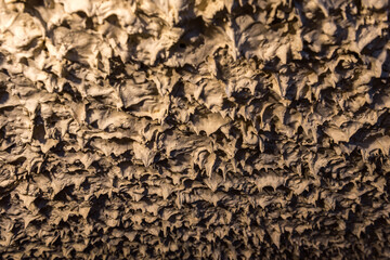 Room ceiling that looks like stalactites