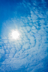 Obraz premium Blue sky with chemical clouds chemical sky chemtrails sunny day.