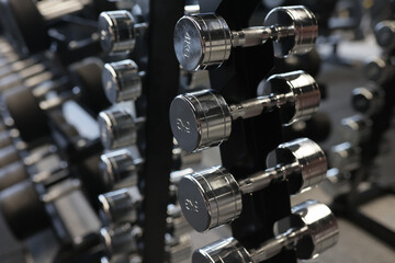 Dumbbells for standing exercises in the gym