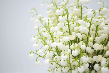 white spring flowers