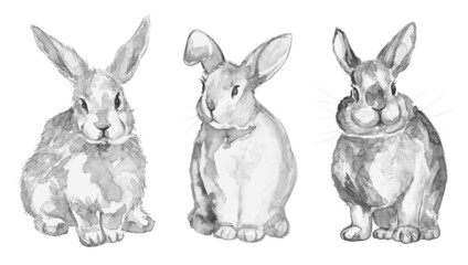 Obraz na płótnie Canvas set of rabbits watercolor, Easter illustration black and white monochrome, white background