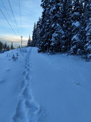 Yukon Territory, Canada